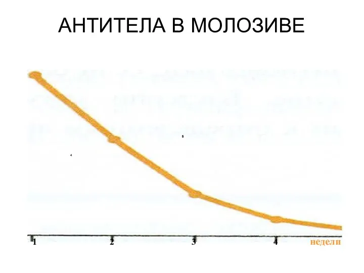 АНТИТЕЛА В МОЛОЗИВЕ 1 2 3 4 недели