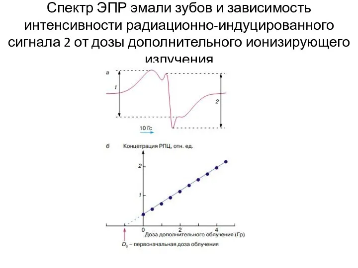 Спектр ЭПР эмали зубов и зависимость интенсивности радиационно-индуцированного сигнала 2 от дозы дополнительного ионизирующего излучения