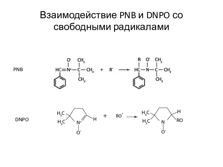 Взаимодействие PNB и DNPO со свободными радикалами PNB DNPO