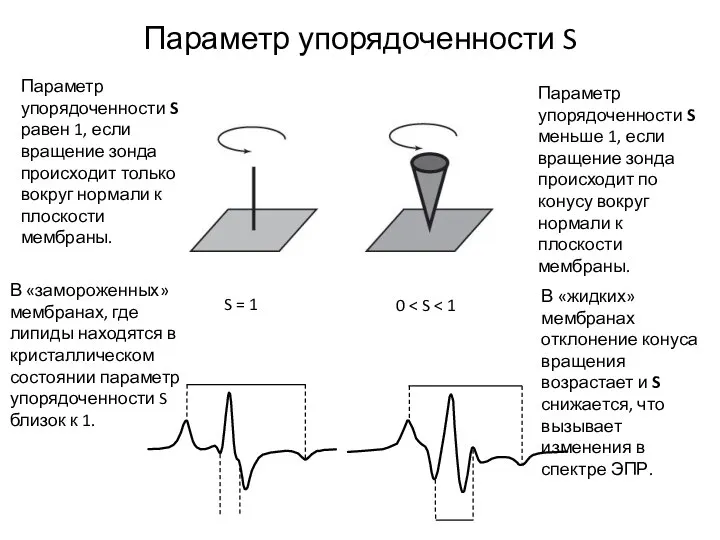 Параметр упорядоченности S S = 1 0 Параметр упорядоченности S равен 1,