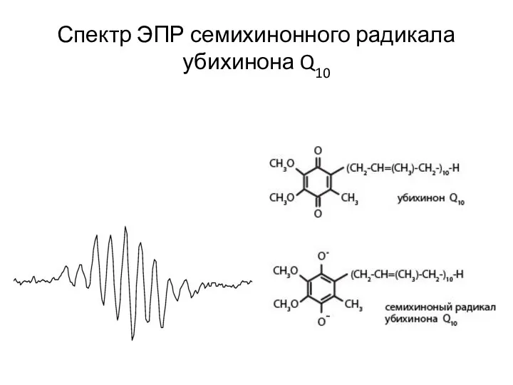 Спектр ЭПР семихинонного радикала убихинона Q10