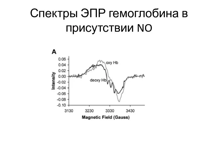 Спектры ЭПР гемоглобина в присутствии NO