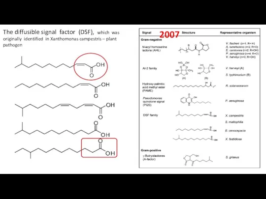 The diffusible signal factor (DSF), which was originally identified in Xanthomonas campestris – plant pathogen 2007