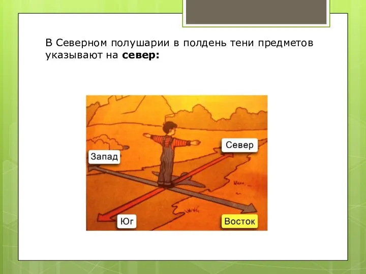 В Северном полушарии в полдень тени предметов указывают на север: