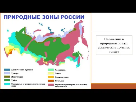 Положение в природных зонах: арктические пустыни, тундра