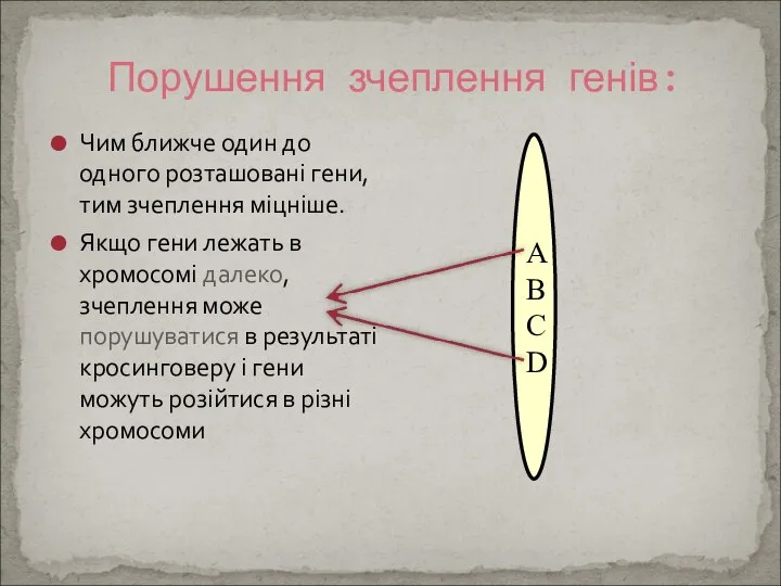 Чим ближче один до одного розташовані гени, тим зчеплення міцніше. Якщо гени