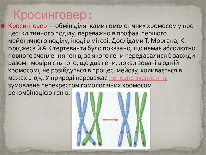 Кросинговер — обмін ділянками гомологічних хромосом у про­цесі клітинного поділу, переважно в