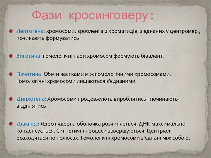 Лептотена: хромосоми, зроблені з 2 хроматидів, з'єднаних у центромері, починають формуватись. Зиготина: