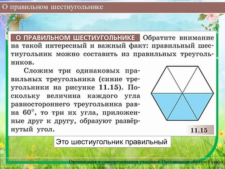 О правильном шестиугольнике Организация и самоорганизация учащихся. Организация обратной связи Это шестиугольник правильный