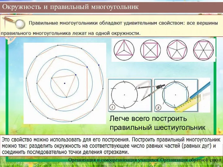 Окружность и правильный многоугольник Организация и самоорганизация учащихся. Организация обратной связи Легче всего построить правильный шестиугольник