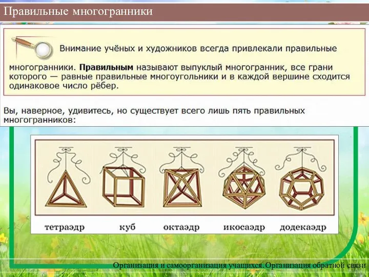 Правильные многогранники Организация и самоорганизация учащихся. Организация обратной связи