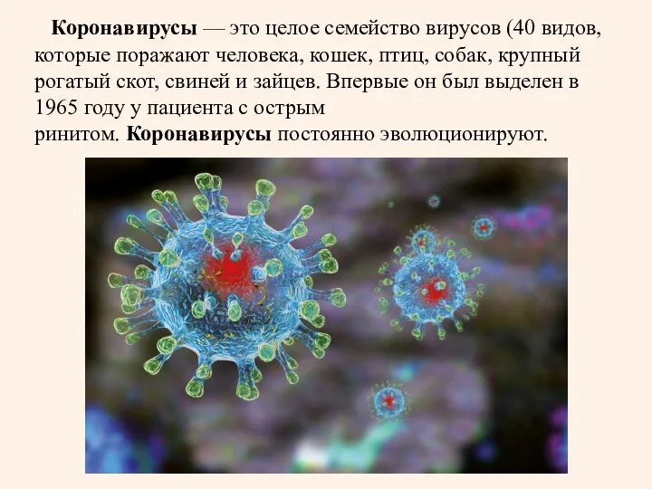 Коронавирусы — это целое семейство вирусов (40 видов, которые поражают человека, кошек,