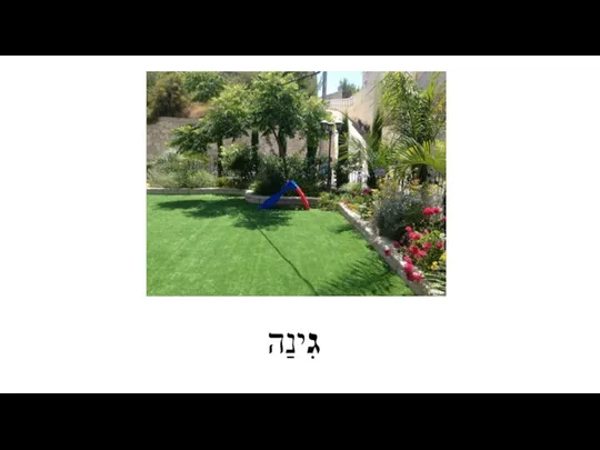 גִינַה