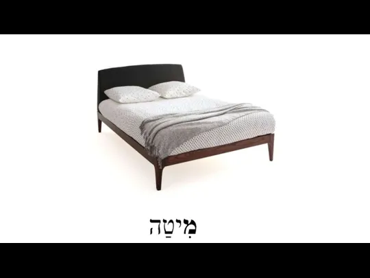 מִיטַה