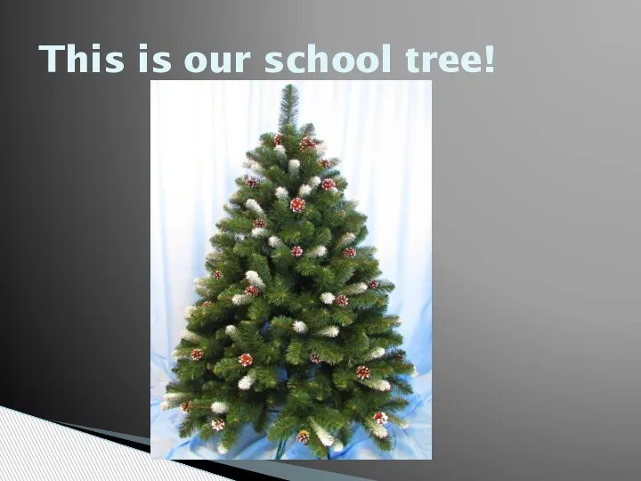 This is our school tree!
