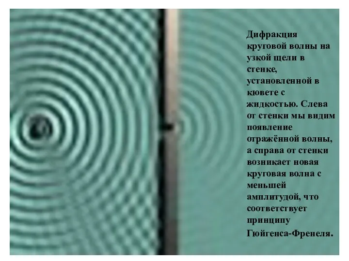 Дифракция круговой волны на узкой щели в стенке, установленной в кювете с