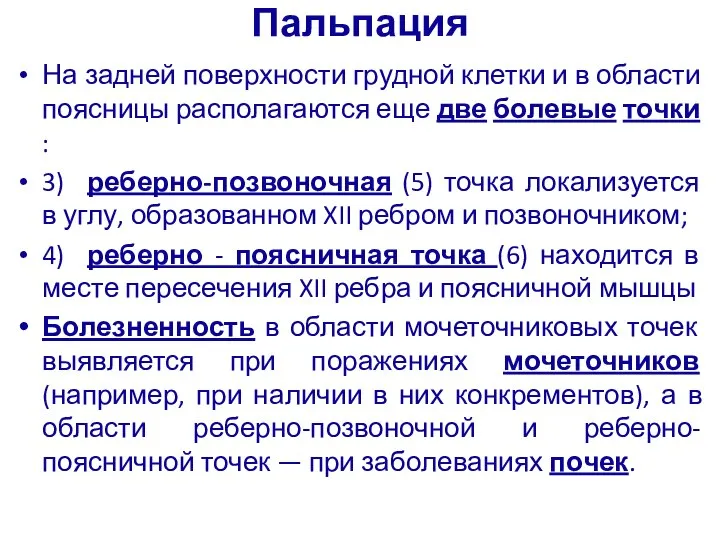 Пальпация На задней поверхности грудной клетки и в области поясницы располагаются еще