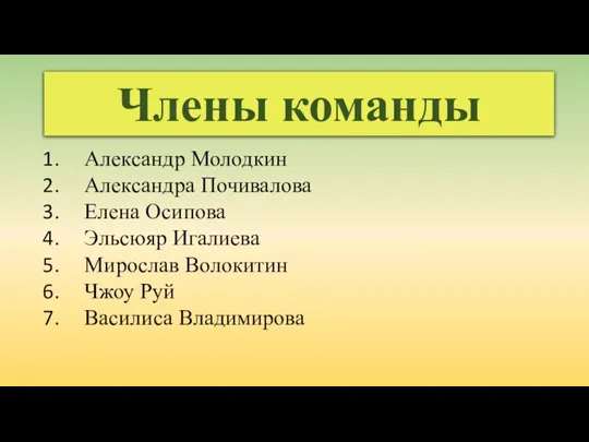 Члены команды Александр Молодкин Александра Почивалова Елена Осипова Эльсюяр Игалиева Мирослав Волокитин Чжоу Руй Василиса Владимирова