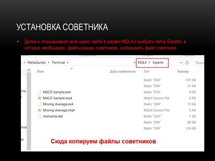 УСТАНОВКА СОВЕТНИКА Далее в открывшемся окне нужно зайти в раздел MQL4 и