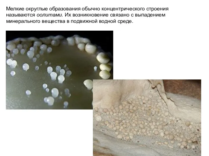 Мелкие округлые образования обычно концентрического строения называются оолитами. Их возникновение связано с