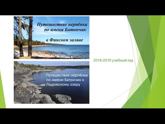 2018-2019 учебный год