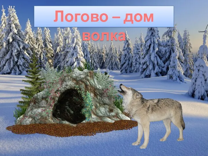 Логово – дом волка