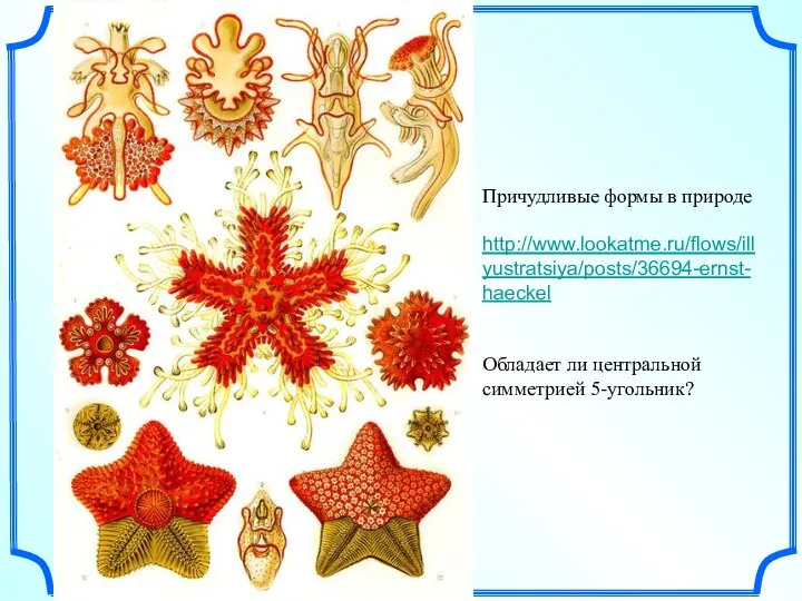 Причудливые формы в природе http://www.lookatme.ru/flows/illyustratsiya/posts/36694-ernst-haeckel Обладает ли центральной симметрией 5-угольник?