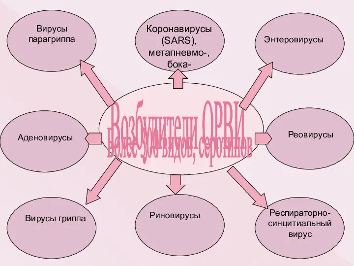 Возбудители ОРВИ Более 300 видов, серотипов Вирусы гриппа Вирусы парагриппа Аденовирусы Реовирусы