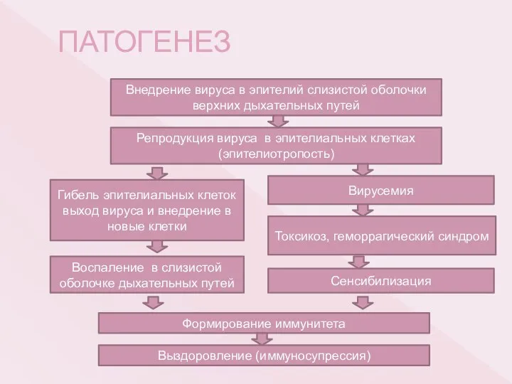 ПАТОГЕНЕЗ Репродукция вируса в эпителиальных клетках (эпителиотропость) Внедрение вируса в эпителий слизистой