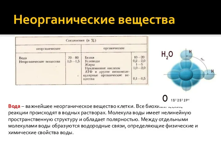 Неорганические вещества Вода – важнейшее неорганическое вещество клетки. Все биохимические реакции происходят