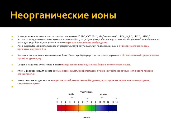 Неорганические ионы К неорганическим ионам клетки относятся: катионы K+, Na+, Ca2+, Mg2+,