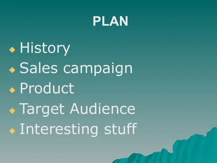 PLAN History Sales campaign Product Target Audience Interesting stuff