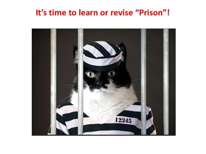 It’s time to learn or revise “Prison”!