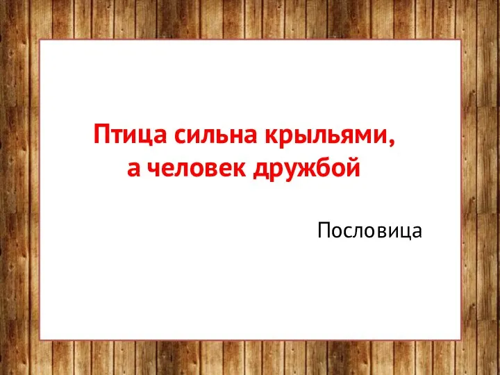 Птица сильна крыльями, а человек дружбой Пословица