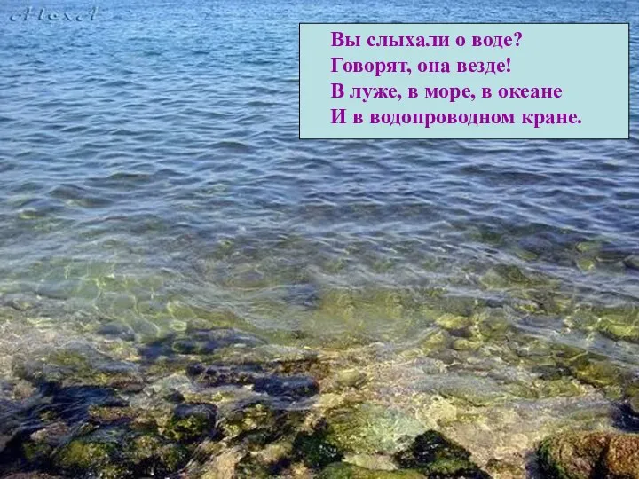 Вы слыхали о воде? Говорят, она везде! В луже, в море, в