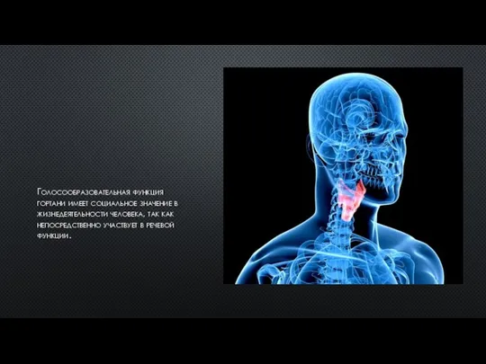Голосообразовательная функция гортани имеет социальное значение в жизнедеятельности человека, так как непосредственно участвует в речевой функции.