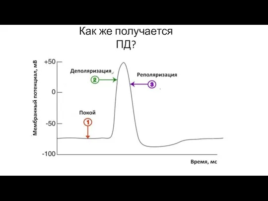 Как же получается ПД?