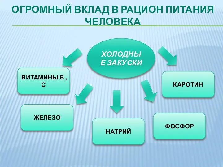 ОГРОМНЫЙ ВКЛАД В РАЦИОН ПИТАНИЯ ЧЕЛОВЕКА ХОЛОДНЫЕ ЗАКУСКИ ВИТАМИНЫ В ,С ЖЕЛЕЗО ФОСФОР КАРОТИН НАТРИЙ