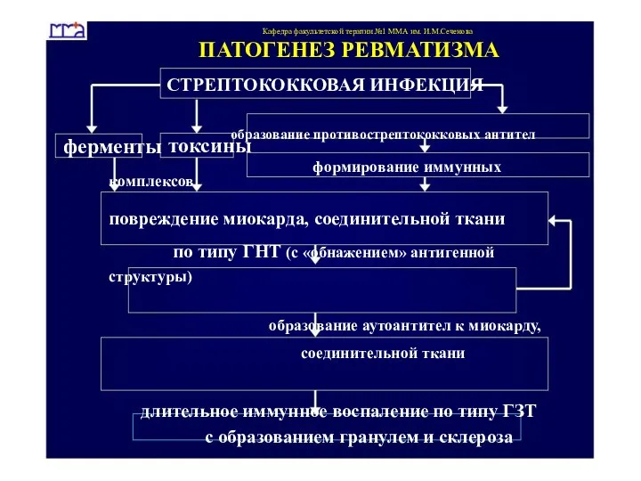 ферменты токсины формирование иммунных комплексов повреждение миокарда, соединительной ткани по типу ГНТ