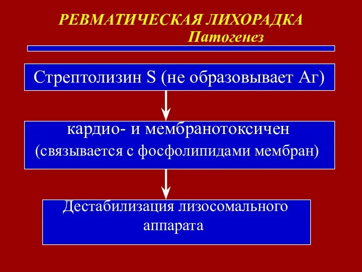 РЕВМАТИЧЕСКАЯ ЛИХОРАДКА Патогенез Стрептолизин S (не образовывает Аг) кардио- и мембранотоксичен (связывается