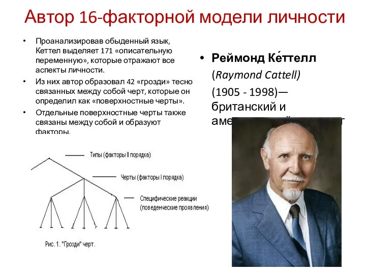 Автор 16-факторной модели личности Проанализировав обыденный язык, Кеттел выделяет 171 «описательную переменную»,