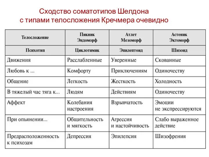 Сходство соматотипов Шелдона с типами телосложения Кречмера очевидно