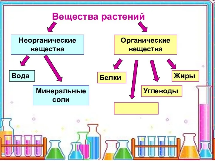 Вещества растений Неорганические вещества Органические вещества Вода Минеральные соли Белки Жиры Углеводы