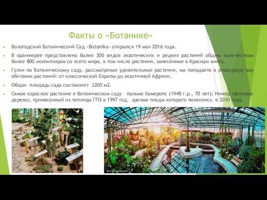 Факты о «Ботанике» Вологодский Ботанический Сад «Botanika» открылся 19 мая 2016 года.