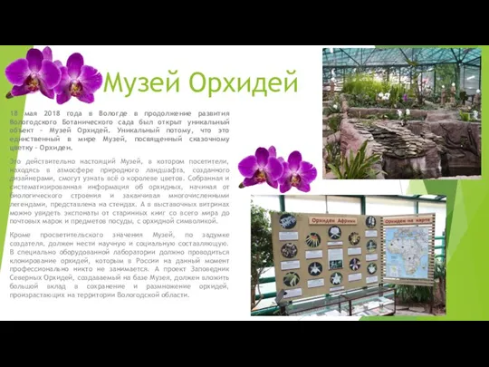 Музей Орхидей 18 мая 2018 года в Вологде в продолжение развития Вологодского