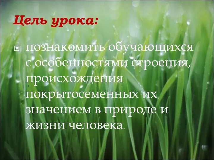 Цель урока: познакомить обучающихся с особенностями строения, происхождения покрытосеменных их значением в