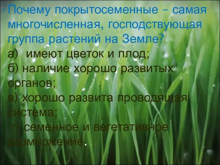 Почему покрытосеменные – самая многочисленная, господствующая группа растений на Земле? а) имеют