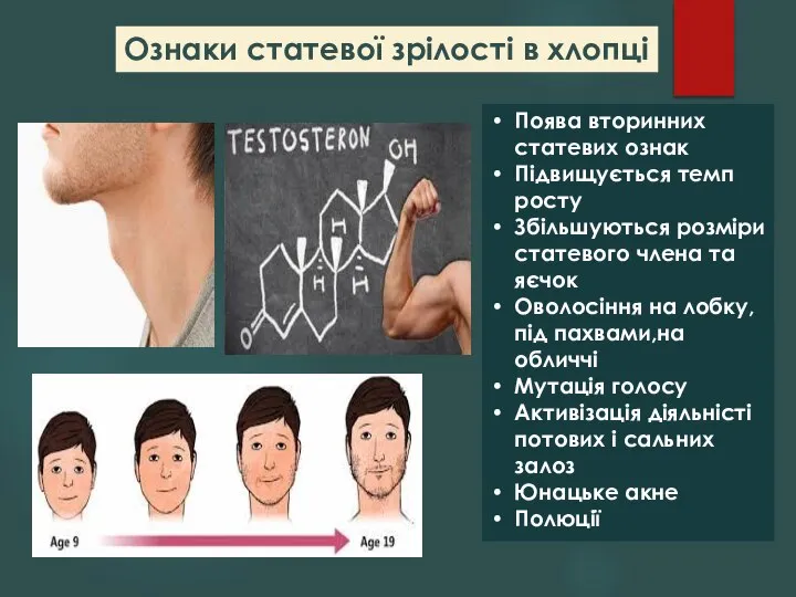 Ознаки статевої зрілості в хлопці Поява вторинних статевих ознак Підвищується темп росту