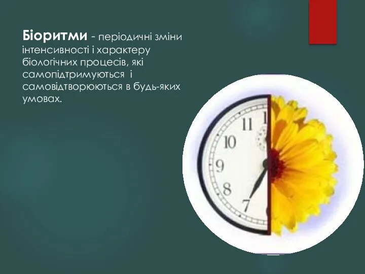 Біоритми - періодичні зміни інтенсивності і характеру біологічних процесів, які самопідтримуються і самовідтворюються в будь-яких умовах.