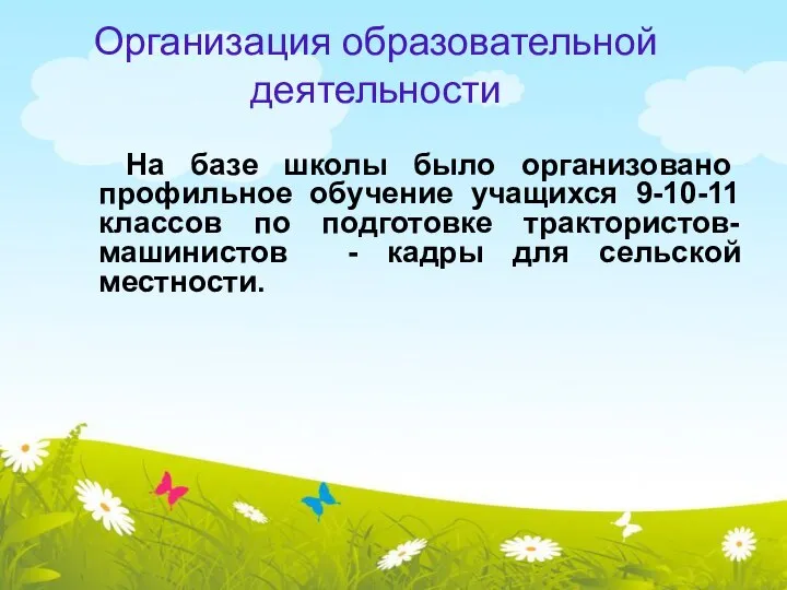 Организация образовательной деятельности На базе школы было организовано профильное обучение учащихся 9-10-11